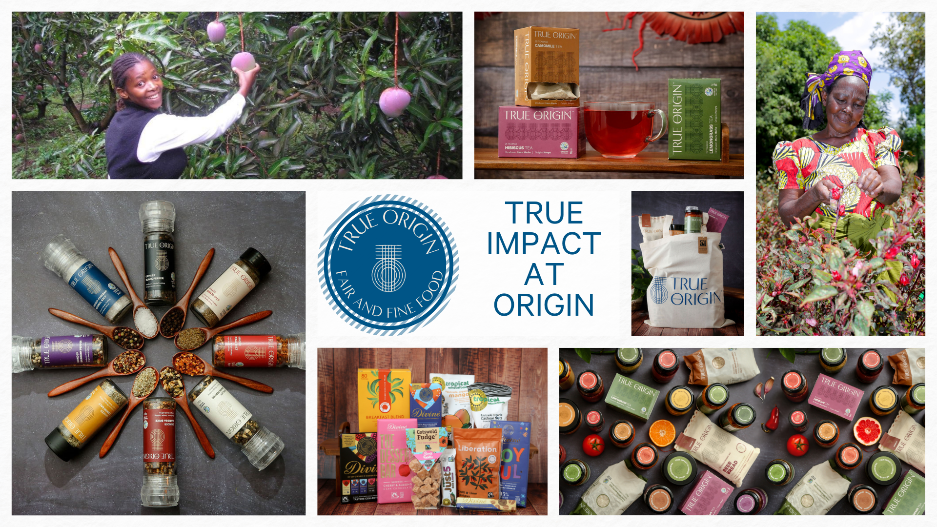Collage of images featuring True Origin products, small holder farmers and branding, with a focus on impact at origin.