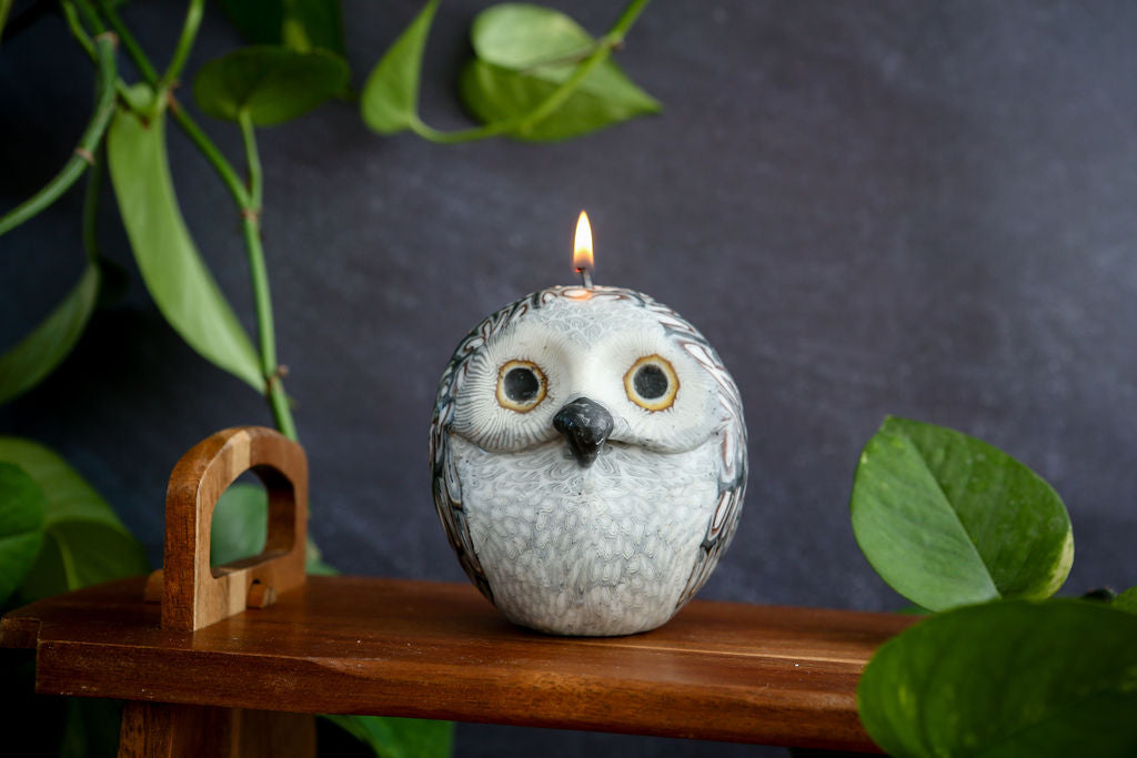 Candle shaped like an owl on a wooden stand with green leaves in the background
