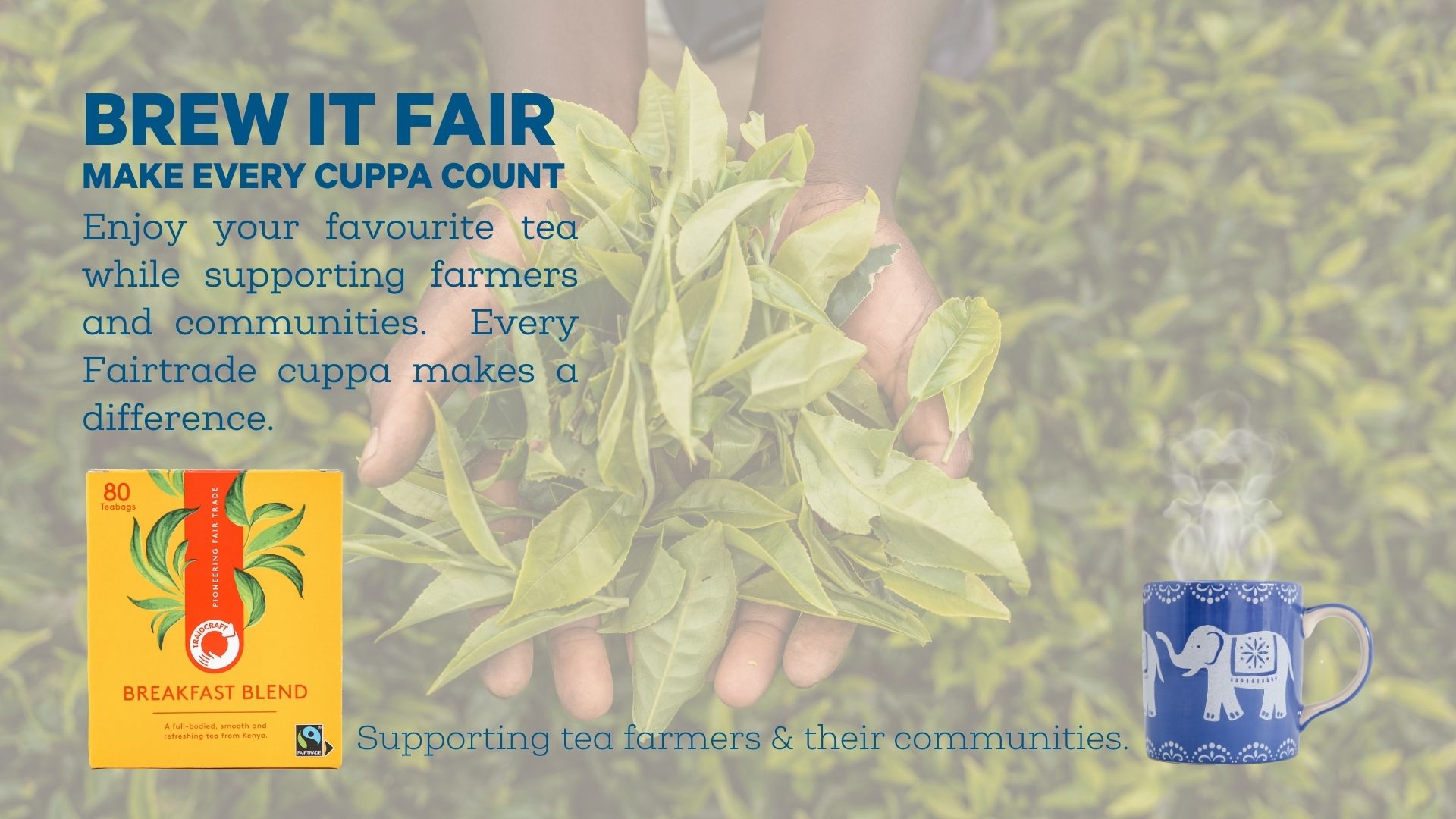 Tea leaves held by a hand with Fairtrade tea packaging and mug in the background.