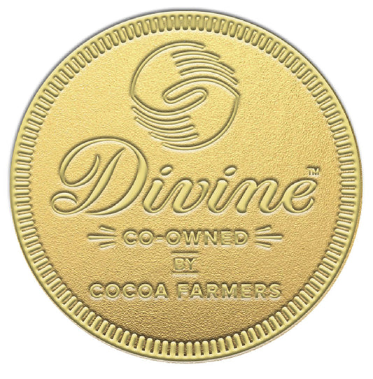 Milk Chocolate Giant Coin 58g