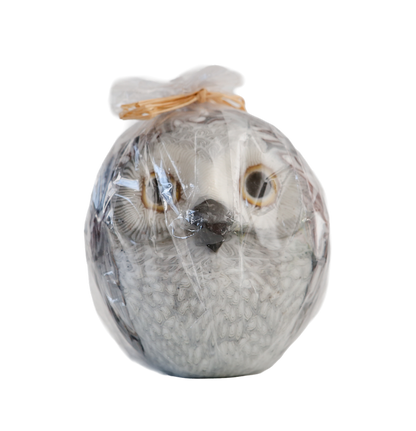 Owl shaped candle wrapped in clear plastic on a clear background