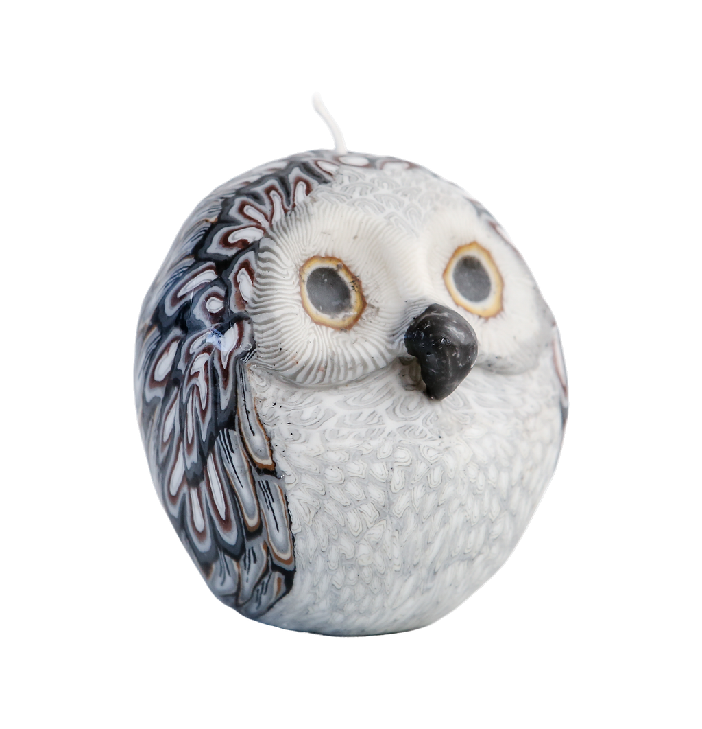 Owl candle with a white body and patterned wings on a clear background