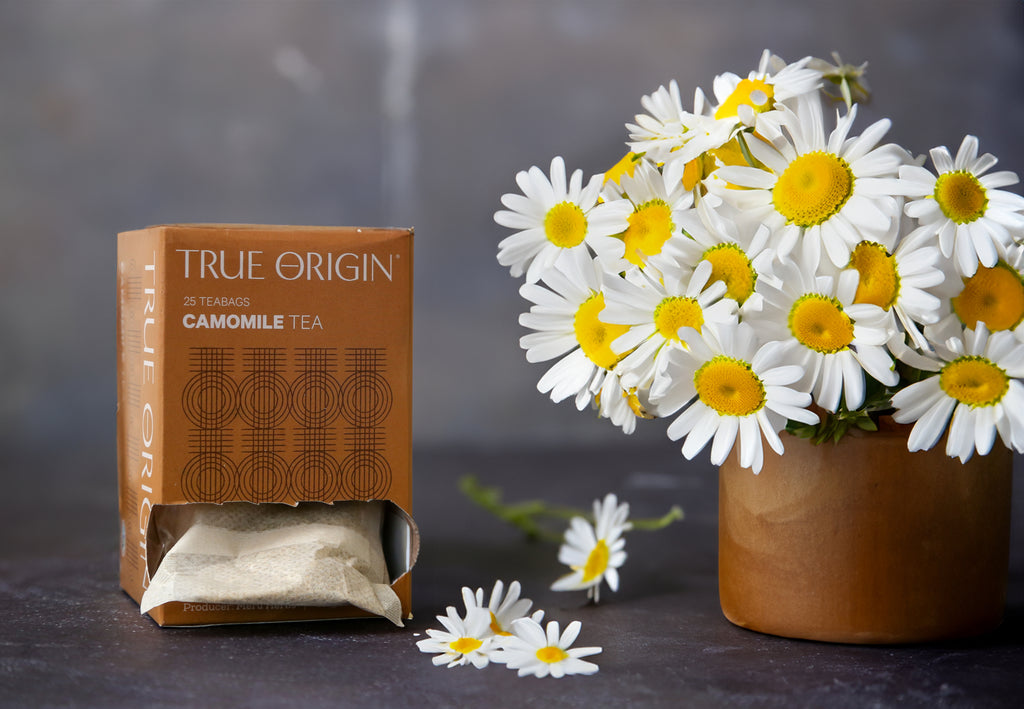 A box of True Origin Camomile Tea with 25 tea bags, producers name and origin (Kenya) printed on it.  Next to a vase containing camomile flowers.